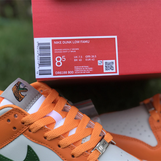 Nike SB Dunk Low 'Famu' Sneaker    DR6188-800 - FashionPlug