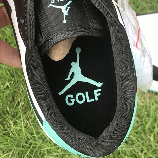 Air Jordan 1 Low Golf “Copa”  Sneaker      DD9315-114 - FashionPlug