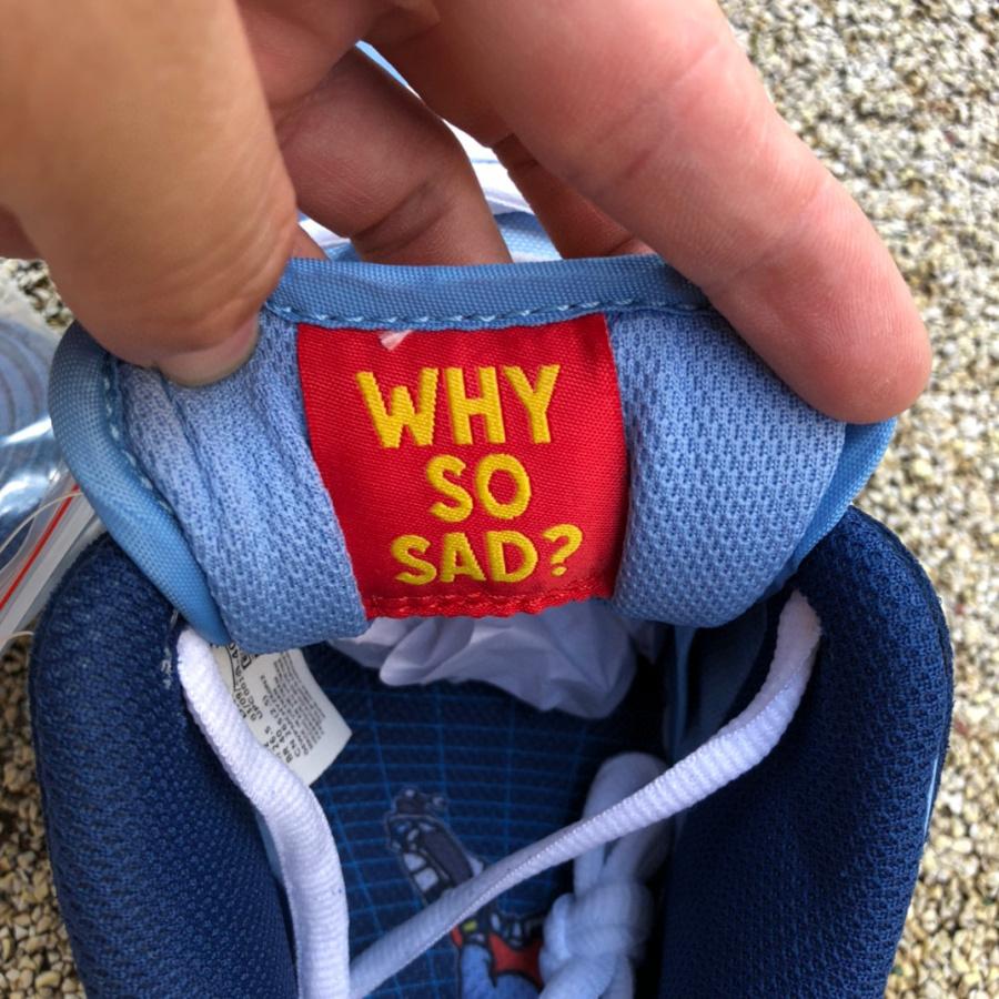 Why So Sad? x Nike SB Dunk Low Pro Sneaker   dx5549-400 - FashionPlug