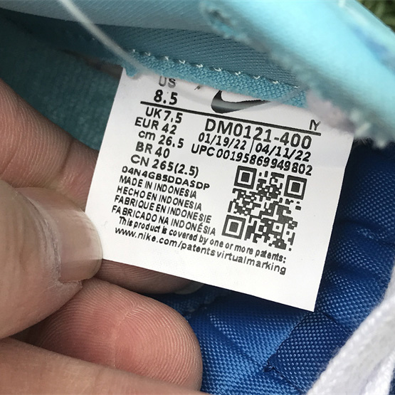 Nike Dunk Low “Argon” Sneaker      DM0121-400 - FashionPlug