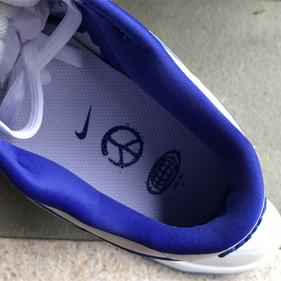 Nike SB Dunk Low Sneaker       FB1841-110 - FashionPlug