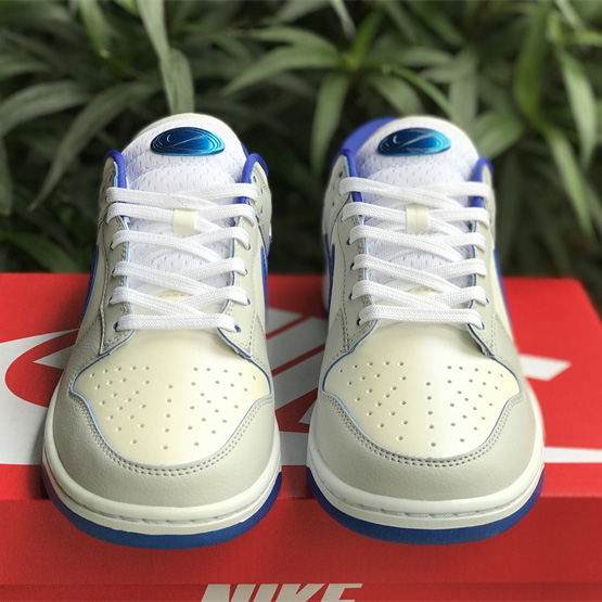 Nike SB Dunk Low Sneaker       FB1841-110 - FashionPlug