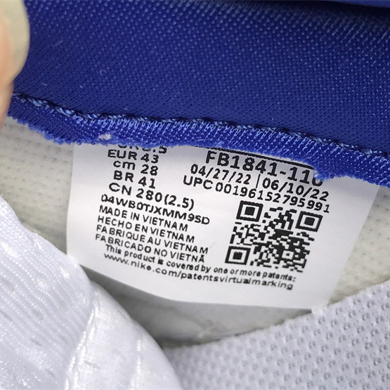 Nike SB Dunk Low Sneaker       FB1841-110 - FashionPlug