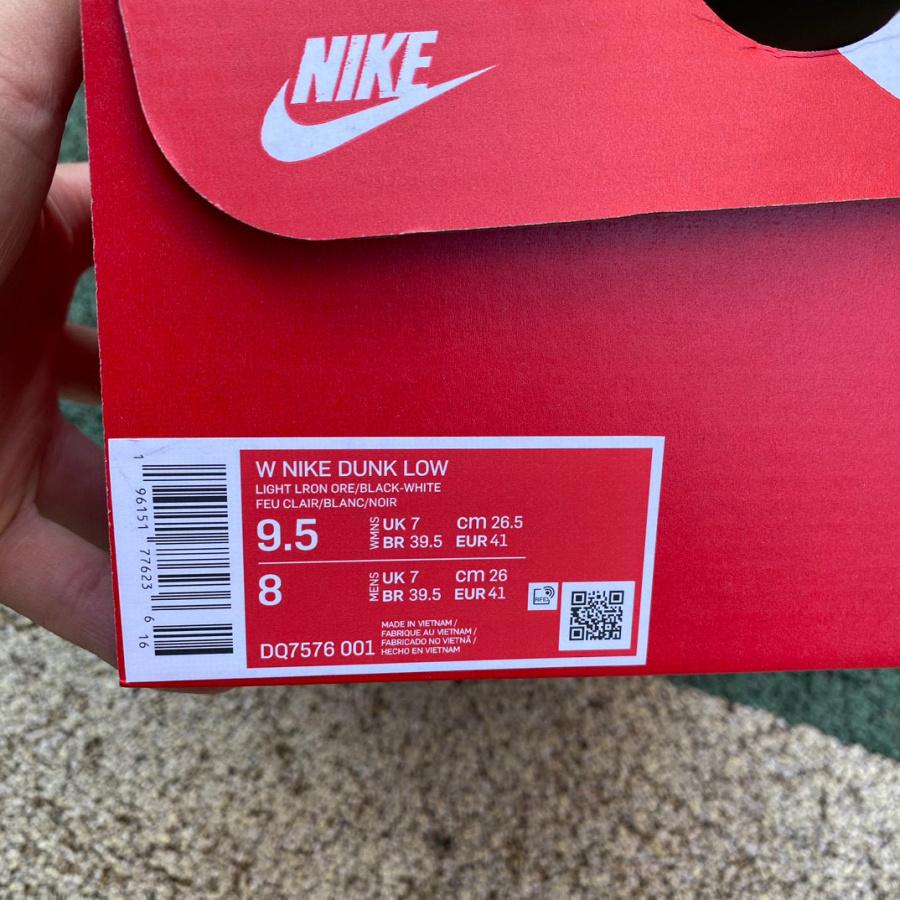 Nike Dunk Low ESS Light Iron Ore Sneaker       DQ7576-001 - FashionPlug