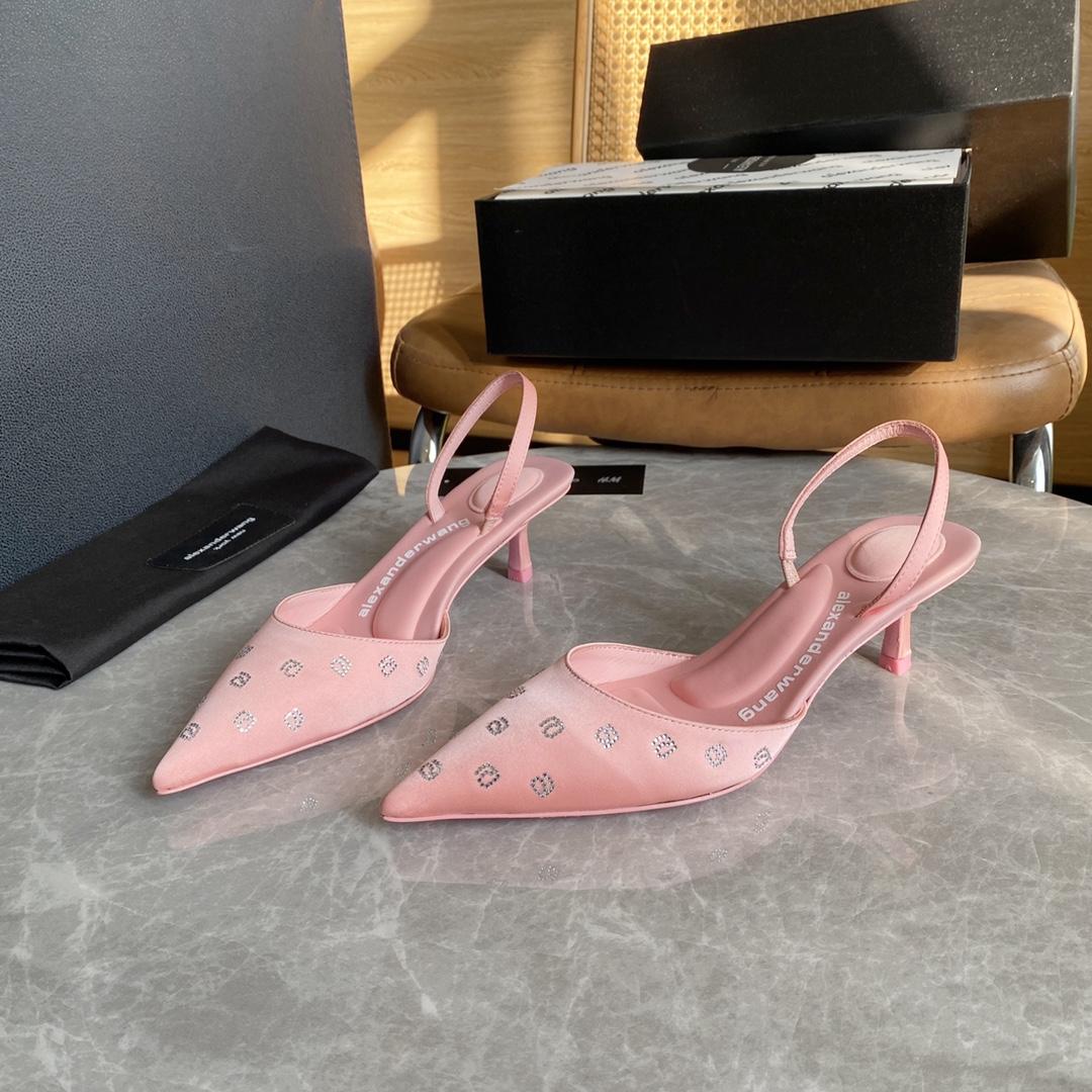 Alexander Wang Delphine 65 Slingback In Crystal Satin - FashionPlug