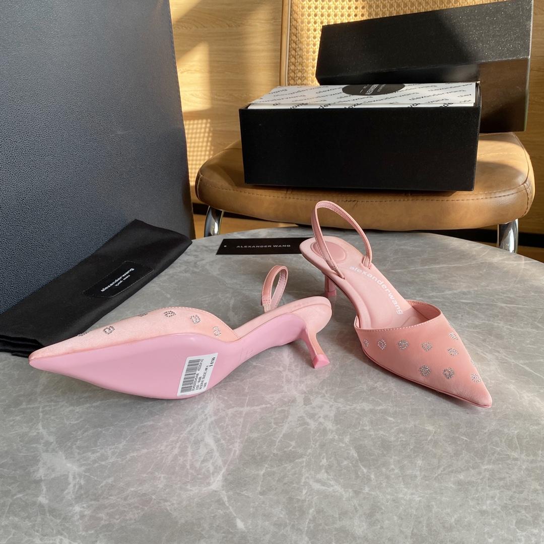 Alexander Wang Delphine 65 Slingback In Crystal Satin - FashionPlug