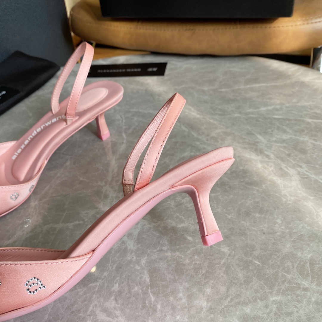 Alexander Wang Delphine 65 Slingback In Crystal Satin - FashionPlug