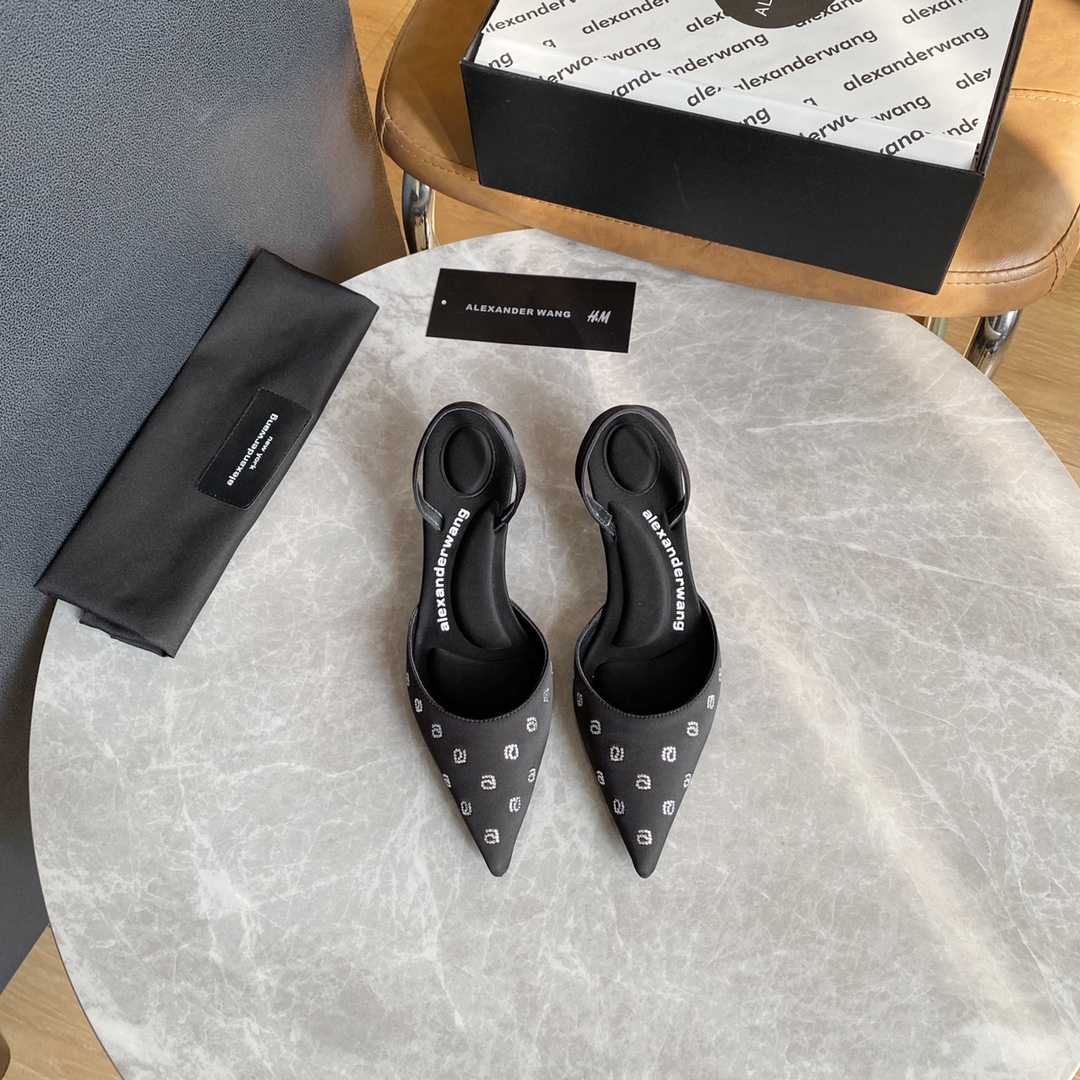 Alexander Wang Delphine 65 Slingback In Crystal Satin - FashionPlug