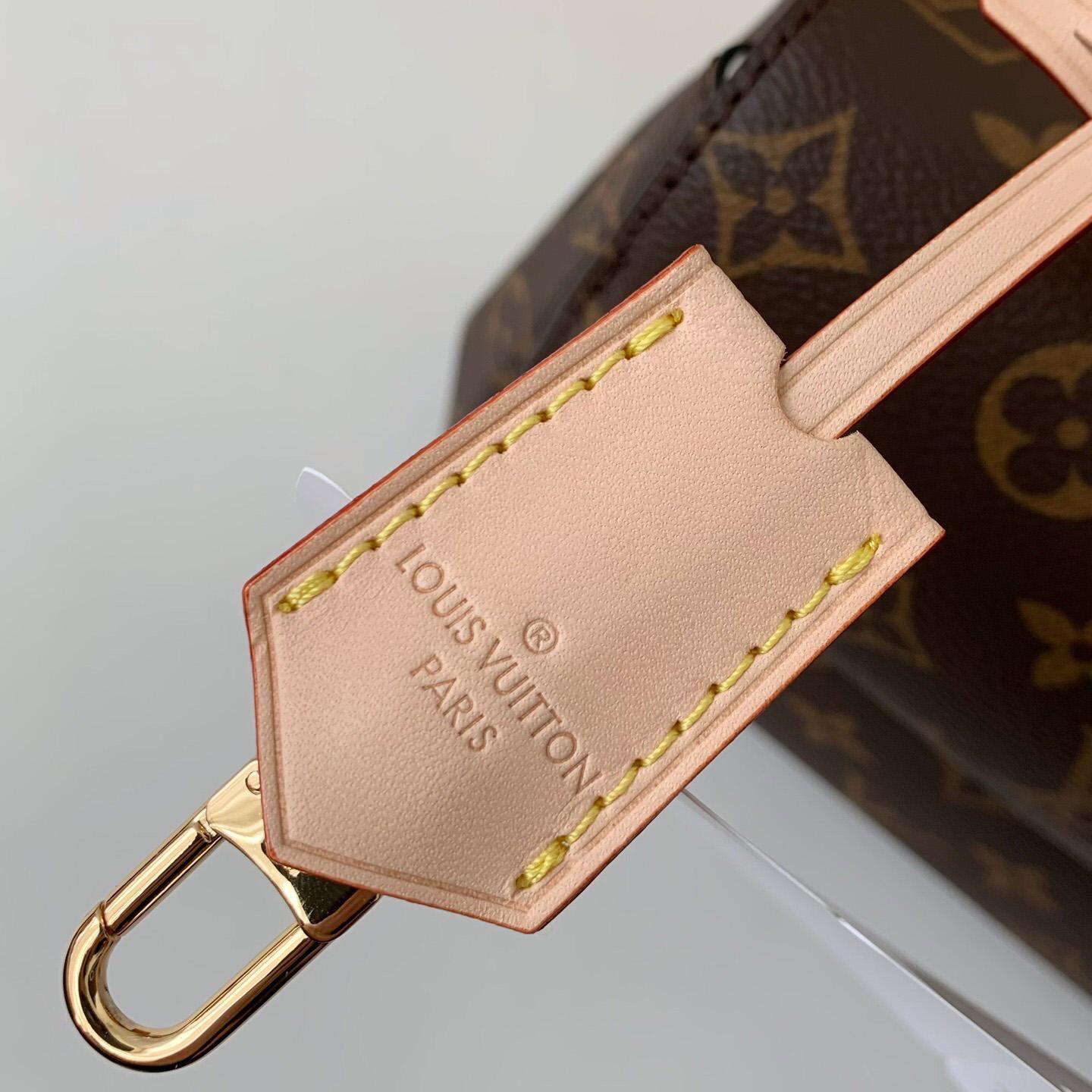 Louis Vuitton Cluny Mini Handbag  (20*16*7.5cm)    M46055 - FashionPlug