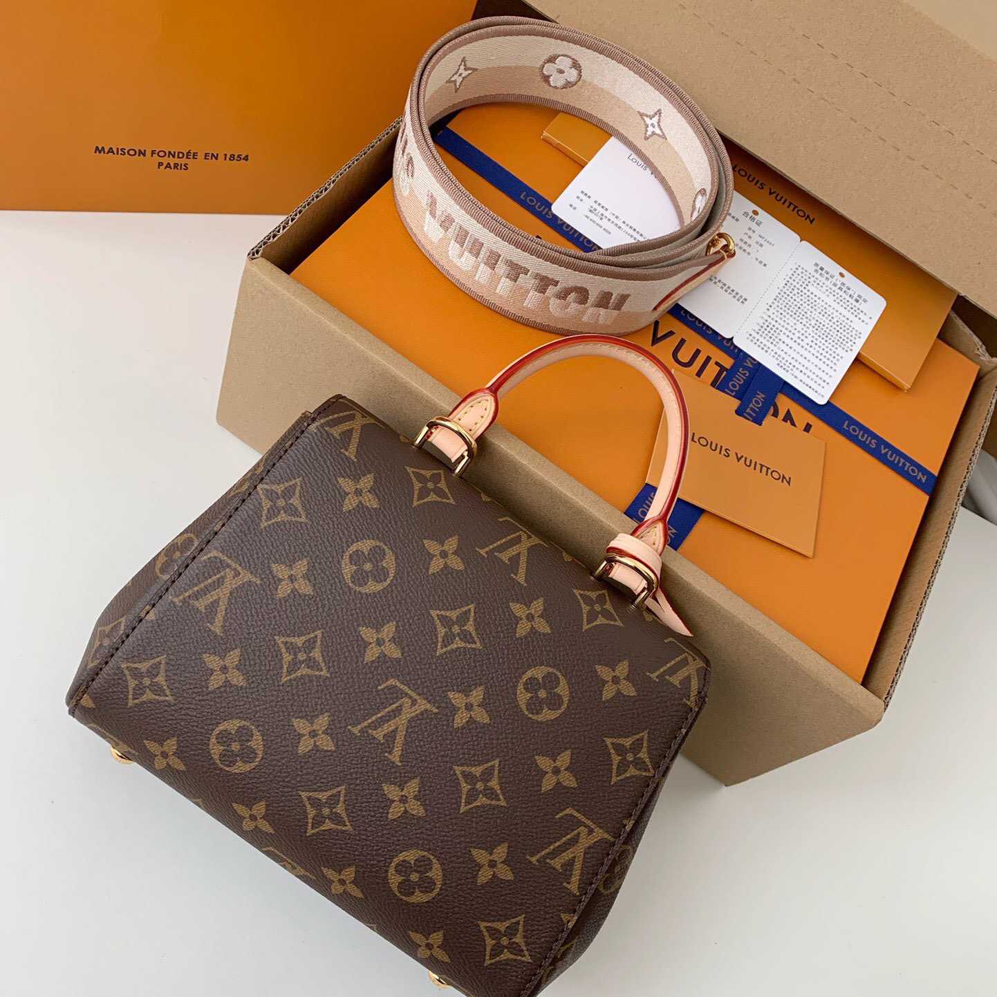 Louis Vuitton Cluny Mini Handbag  (20*16*7.5cm)    M46055 - FashionPlug