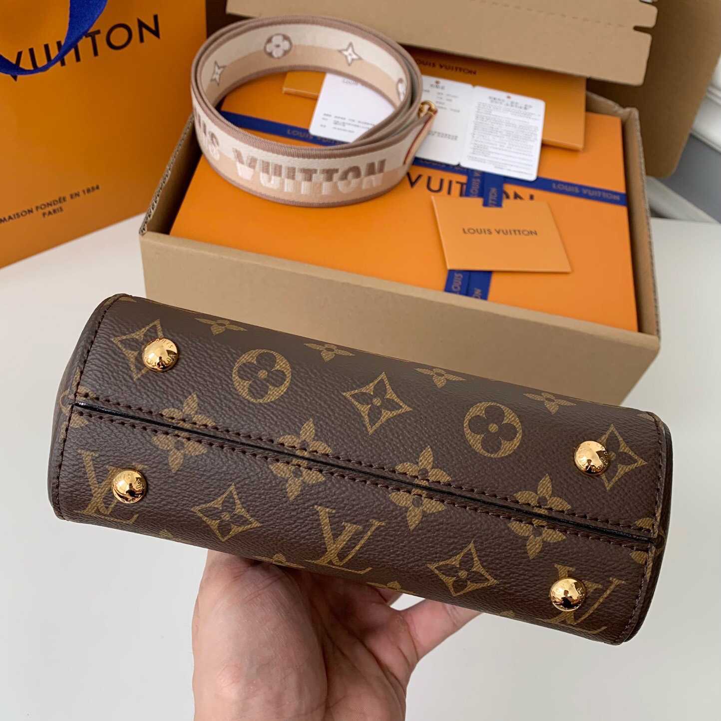 Louis Vuitton Cluny Mini Handbag  (20*16*7.5cm)    M46055 - FashionPlug