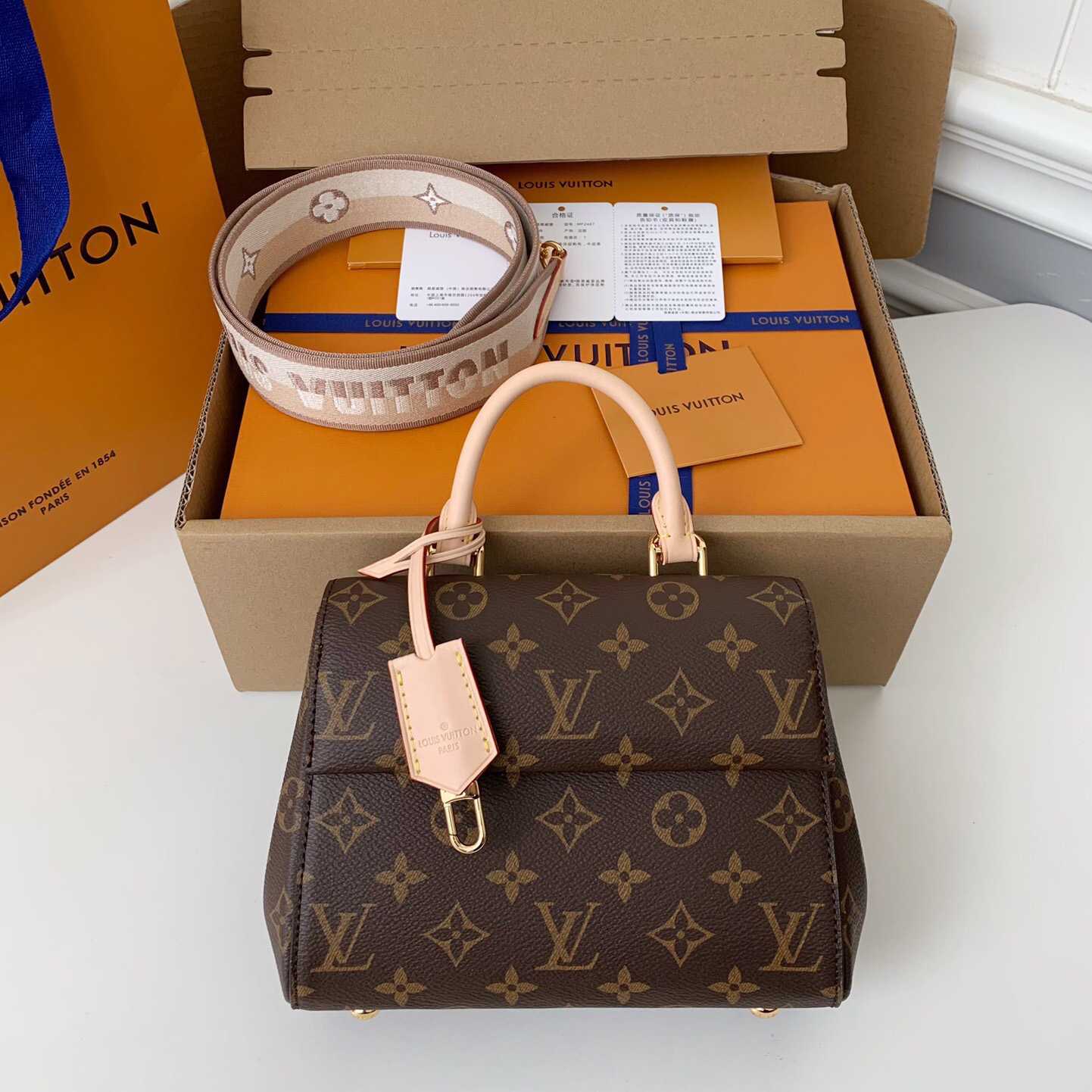 Louis Vuitton Cluny Mini Handbag  (20*16*7.5cm)    M46055 - FashionPlug