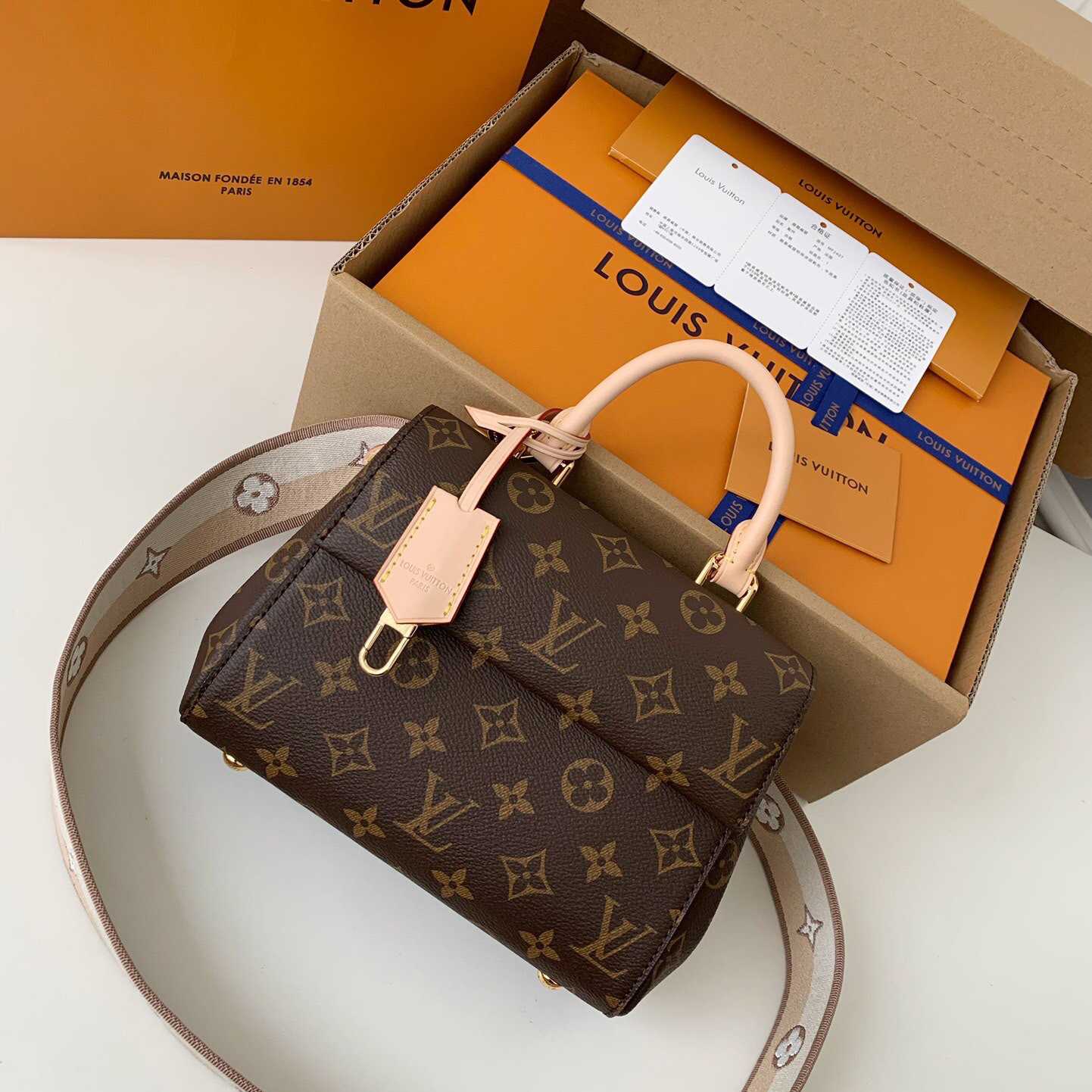 Louis Vuitton Cluny Mini Handbag  (20*16*7.5cm)    M46055 - FashionPlug