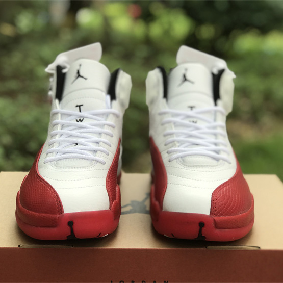 Air Jordan 12 “Cherry” Sneaker      CT8013-116  - FashionPlug