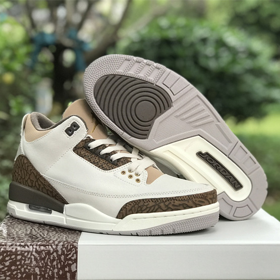 Air Jordan 3 “Wizards” Basketball Shoes   CT8532-148 - FashionPlug