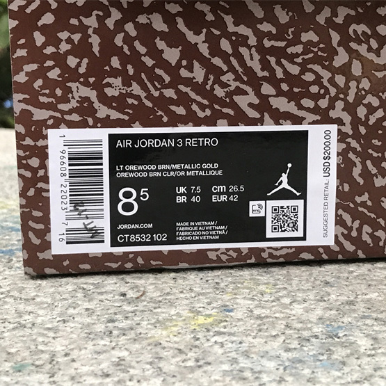 Air Jordan 3 “Wizards” Basketball Shoes   CT8532-148 - FashionPlug