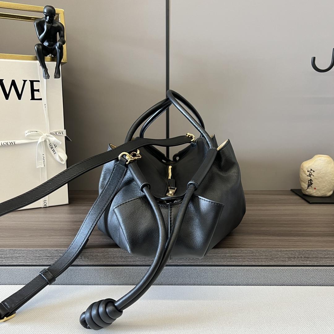 Loewe Paseo Bag In Shiny Nappa Calfskin - FashionPlug