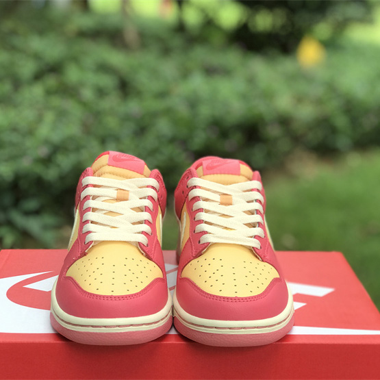 Nike SB Dunk Low Sneakers          DH9765-200 - FashionPlug