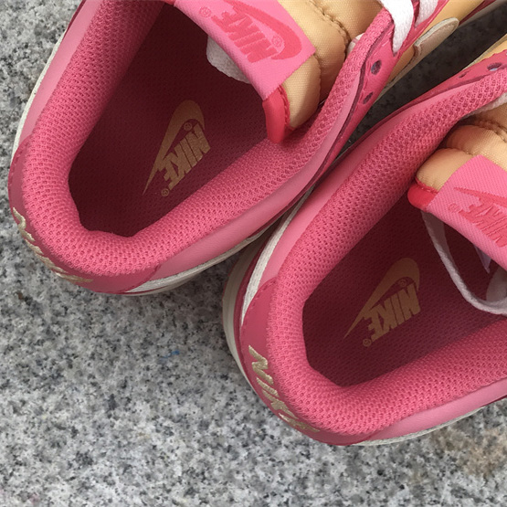 Nike SB Dunk Low Sneakers          DH9765-200 - FashionPlug