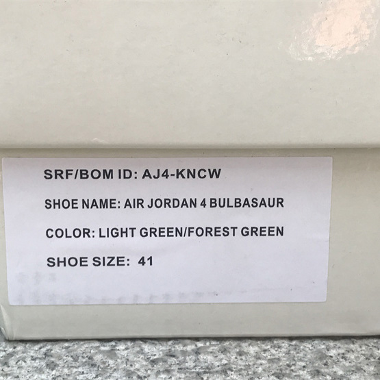 Air Jordan 4 PE SB  Sneakers      AJ4-KNCW - FashionPlug