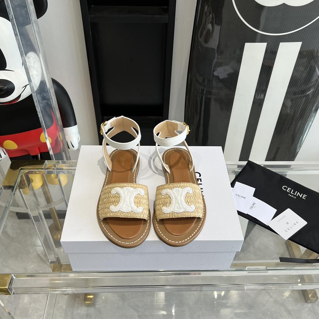 Celine Lympia Flat Strap Sandal In Raffia & Calfskin - FashionPlug