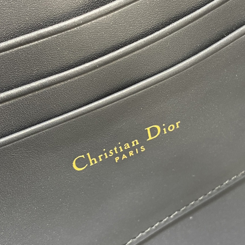 Dior 30 Montaigne Avenue Pouch With Flap  - FashionPlug