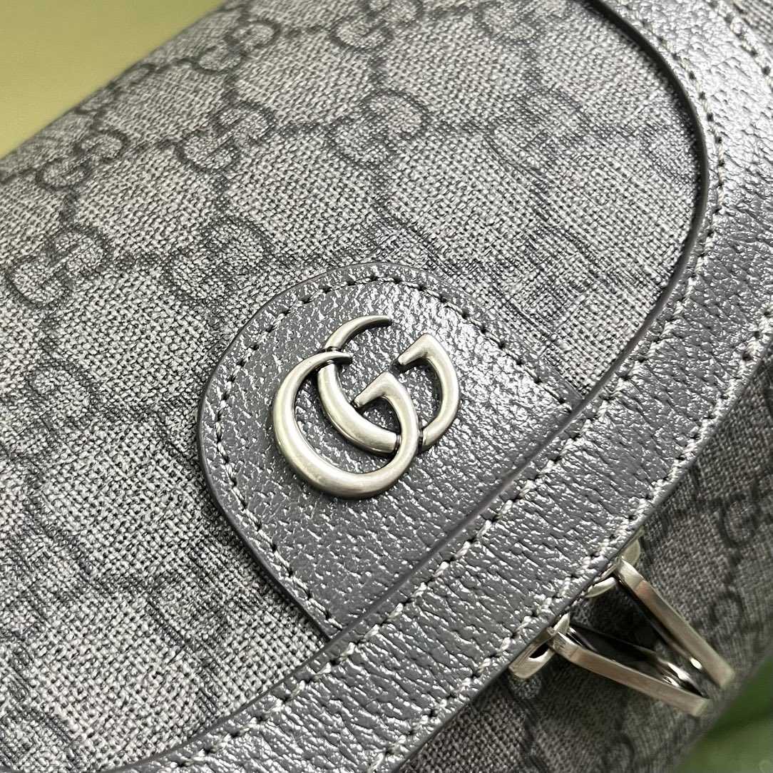Gucci Ophidia Toiletry Case  (24-13-28cm) - FashionPlug