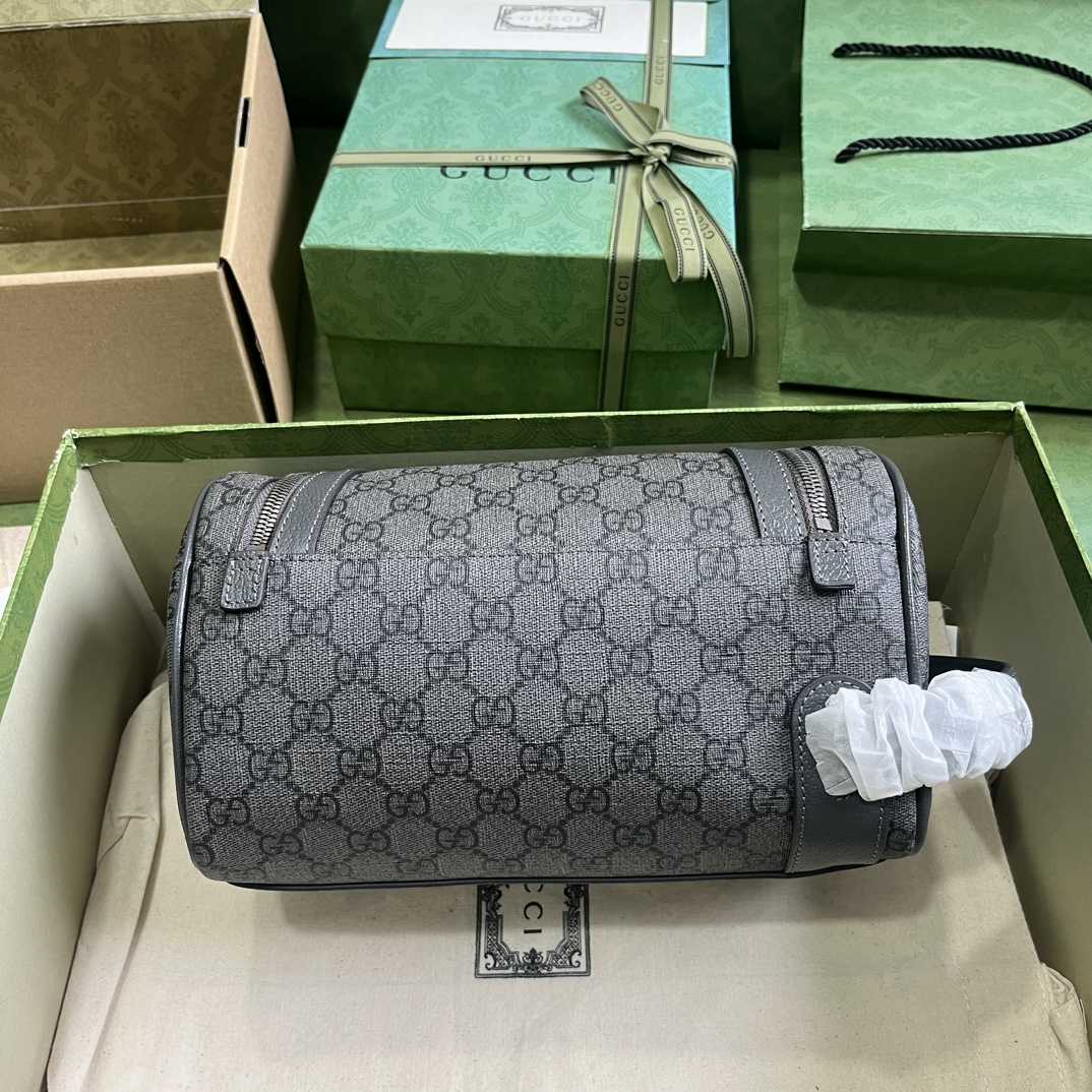 Gucci Ophidia Toiletry Case  (24-13-28cm) - FashionPlug