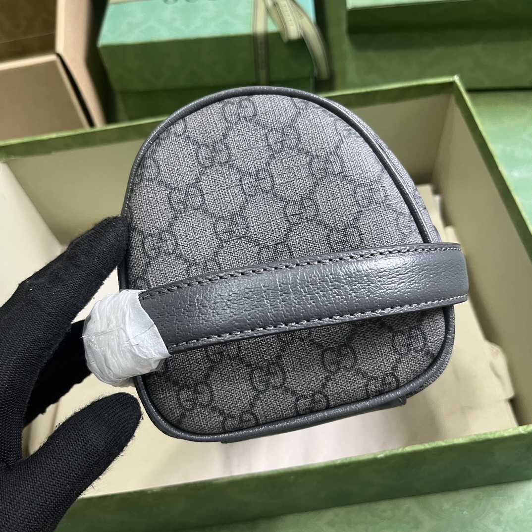 Gucci Ophidia Toiletry Case  (24-13-28cm) - FashionPlug