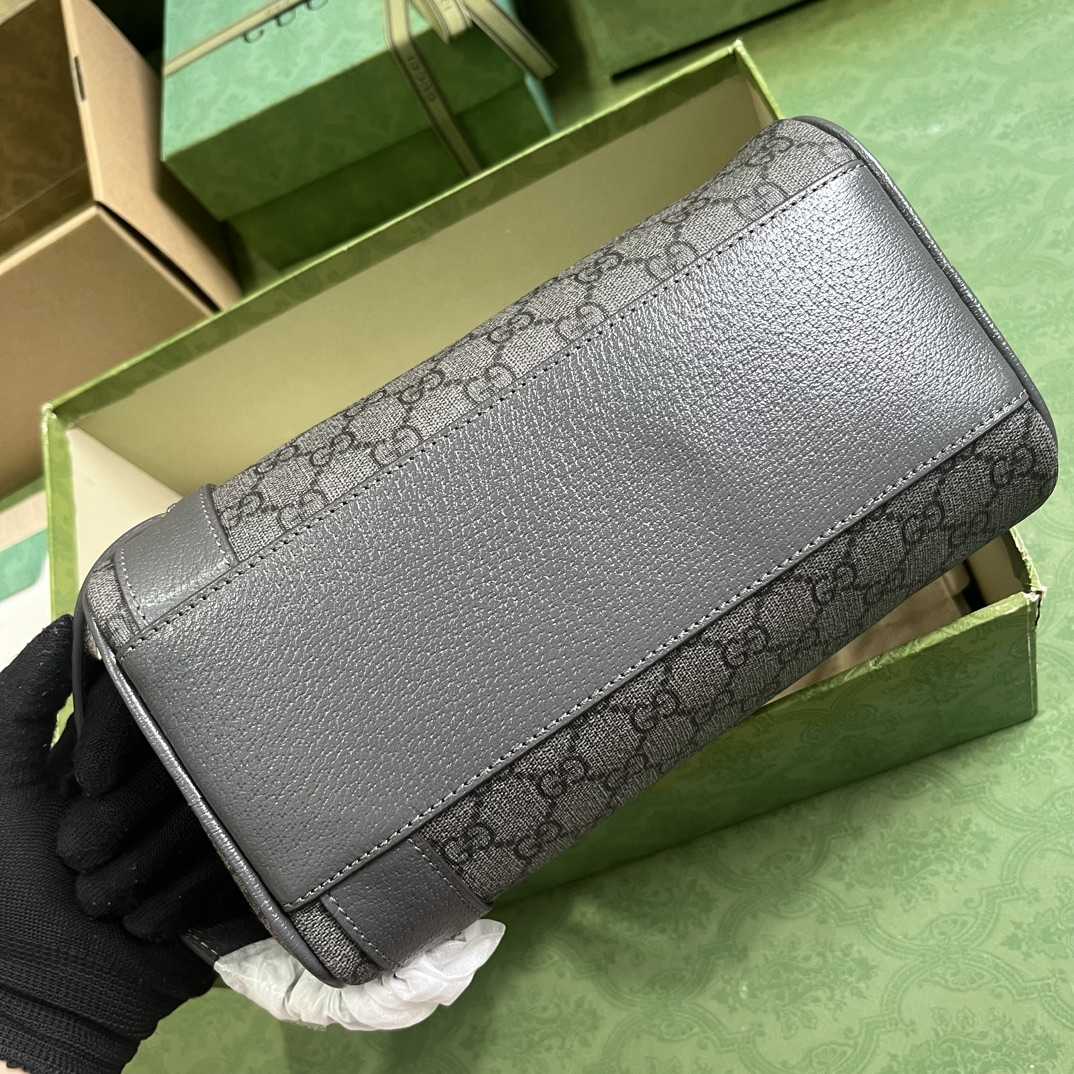 Gucci Ophidia Toiletry Case  (24-13-28cm) - FashionPlug