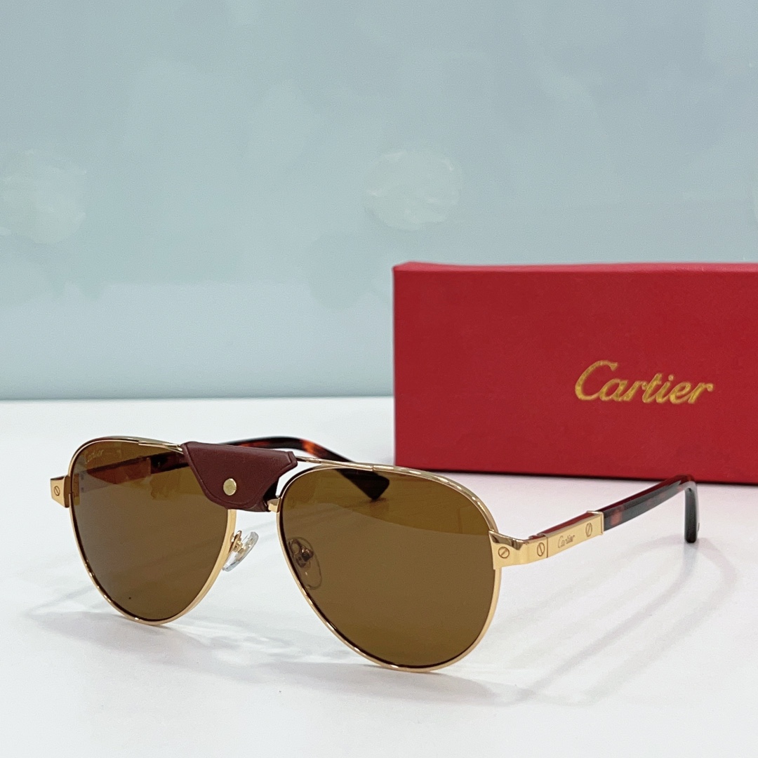Cartier Sunglasses     - FashionPlug