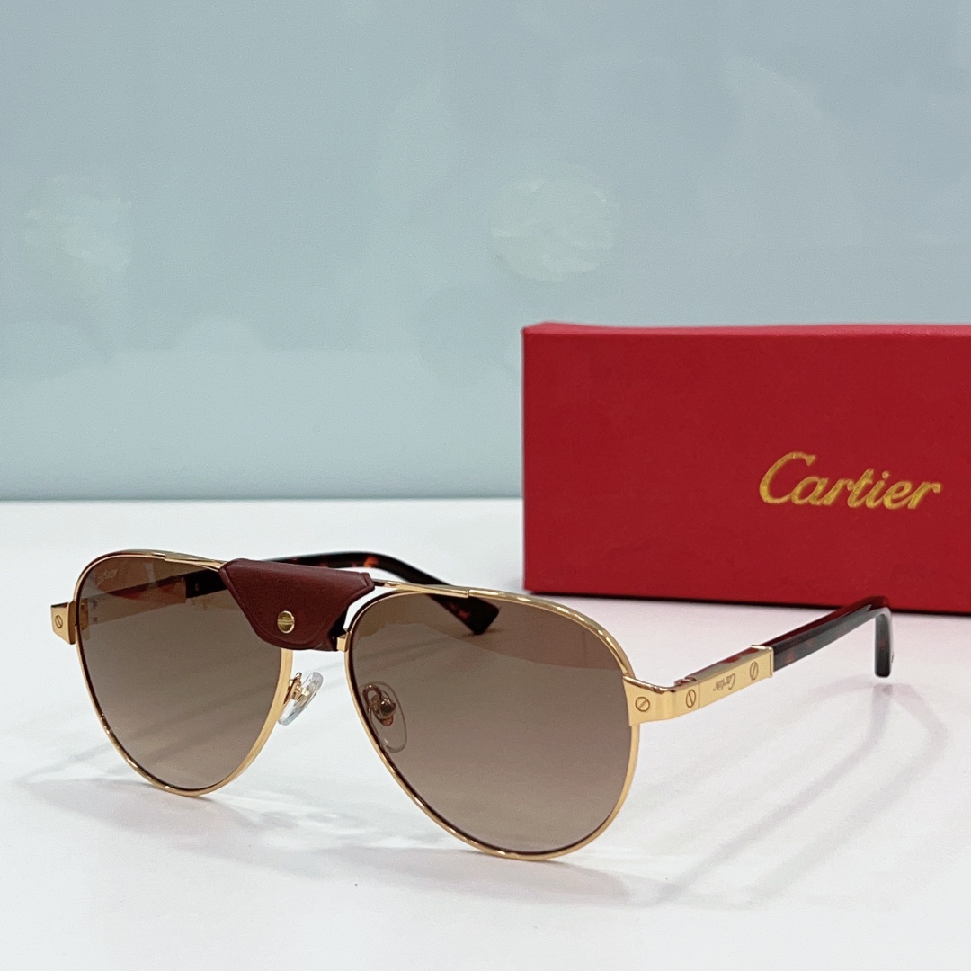 Cartier Sunglasses     - FashionPlug