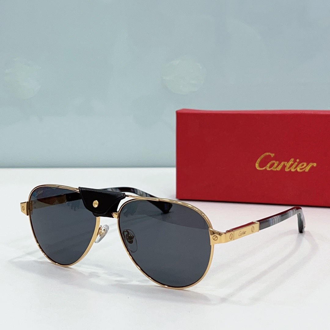 Cartier Sunglasses     - FashionPlug