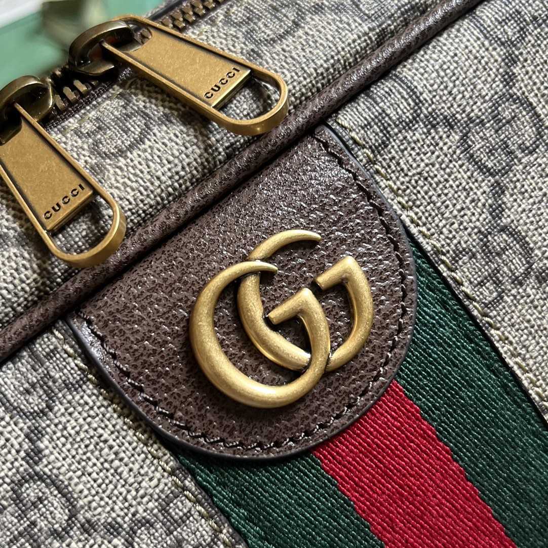 Gucci Savoy Shoe Case  (22x 36x 16cm) - FashionPlug