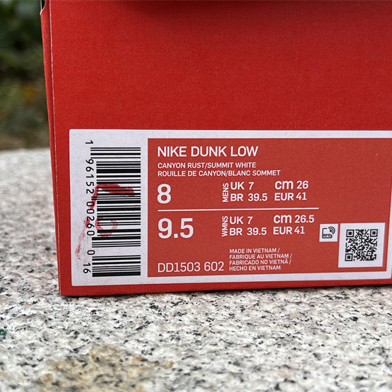 Nike Dunk Low “Canyon Rust Sneakers      DD1503-602 - FashionPlug