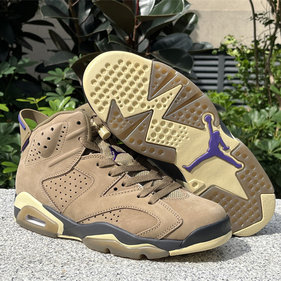 Air Jordan 6 Gore-Tex “Brown Kelp”  Sneaker               FD1643-300 - FashionPlug