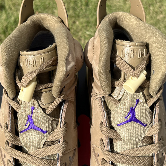 Air Jordan 6 Gore-Tex “Brown Kelp”  Sneaker               FD1643-300 - FashionPlug