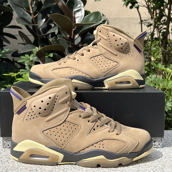 Air Jordan 6 Gore-Tex “Brown Kelp”  Sneaker               FD1643-300 - FashionPlug