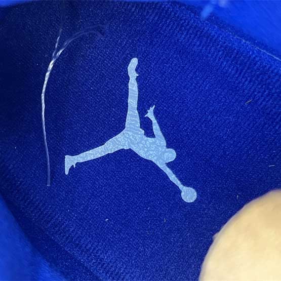 Air Jordan 11 Sneaker    CT8012-114 - FashionPlug