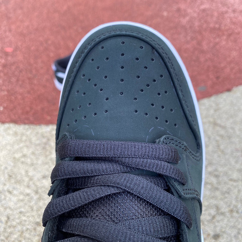 Nike Dunk SB Low Sneaker      CD2563-001 - FashionPlug