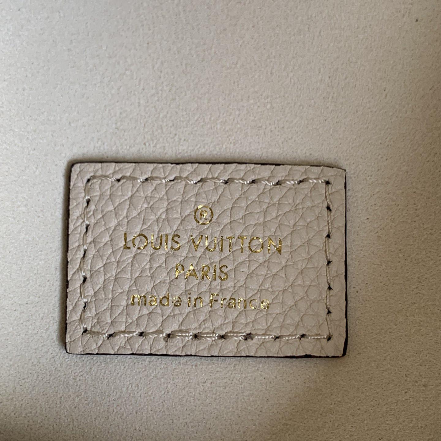 Louis Vuitton Loop Hobo          M46739 - FashionPlug