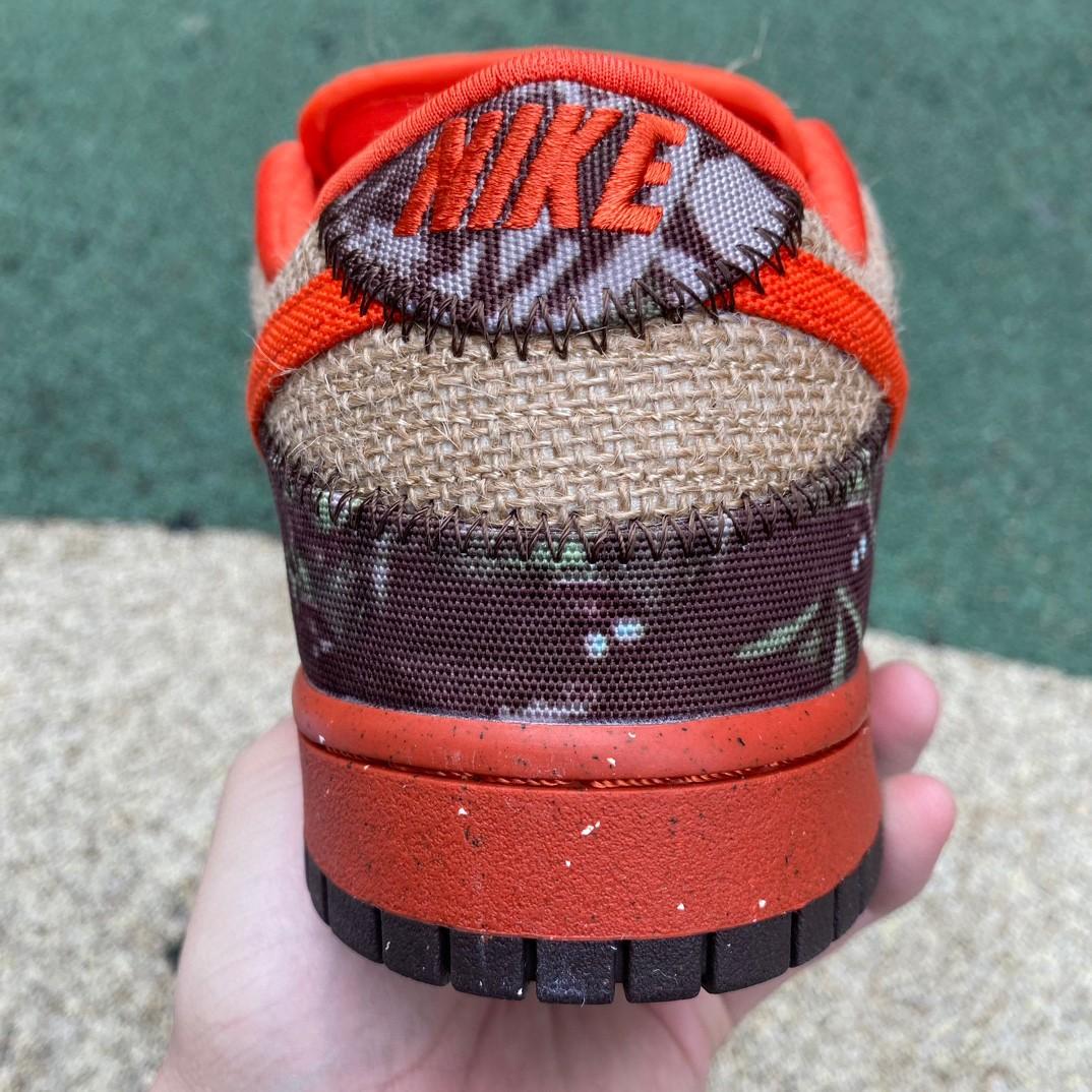 Nike SB Dunk Low “Hunter Reese Forbes” Sneakers      304292-281 - FashionPlug