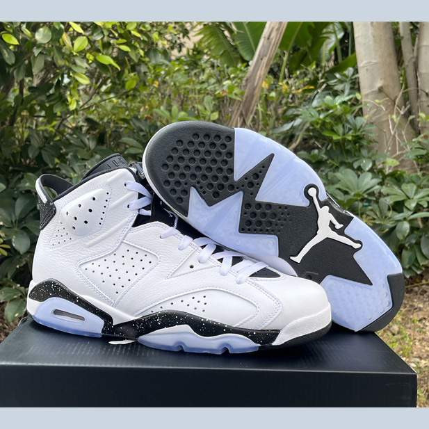 Air Jordan 6 “Reverse Oreo” Sneaker         CT8529-112 - FashionPlug