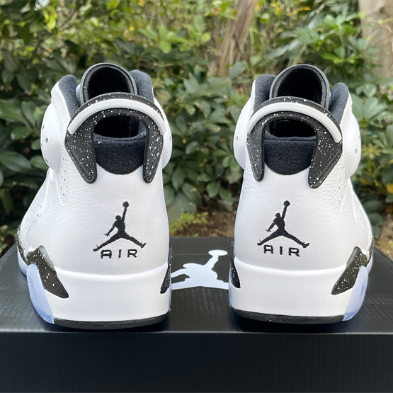 Air Jordan 6 “Reverse Oreo” Sneaker         CT8529-112 - FashionPlug