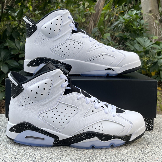 Air Jordan 6 “Reverse Oreo” Sneaker         CT8529-112 - FashionPlug