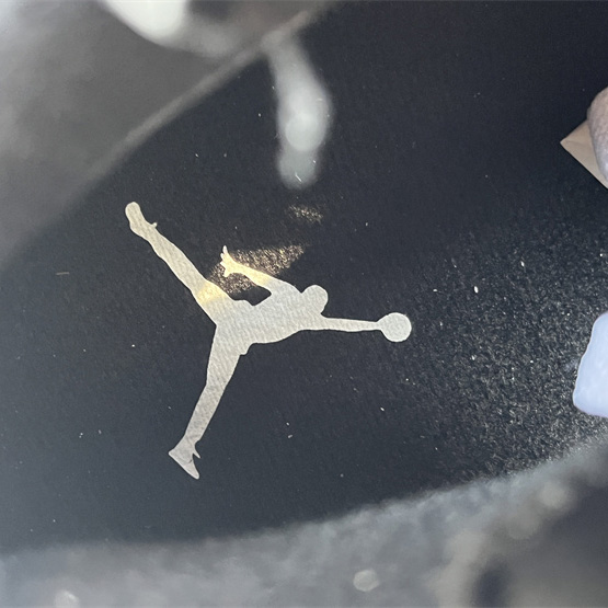 Air Jordan 6 “Reverse Oreo” Sneaker         CT8529-112 - FashionPlug