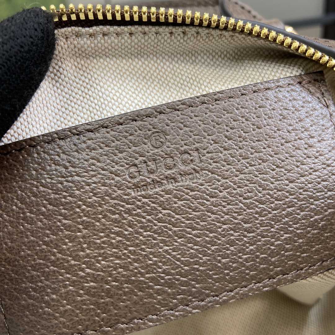 Gucci Ophidia Super Mini Bag - FashionPlug