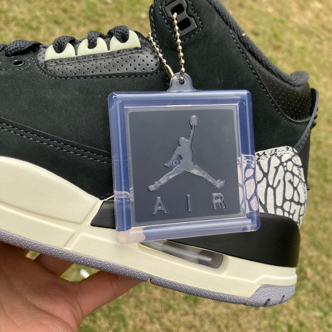 Air Jordan 3 Sneakers   CK9246-001  - FashionPlug