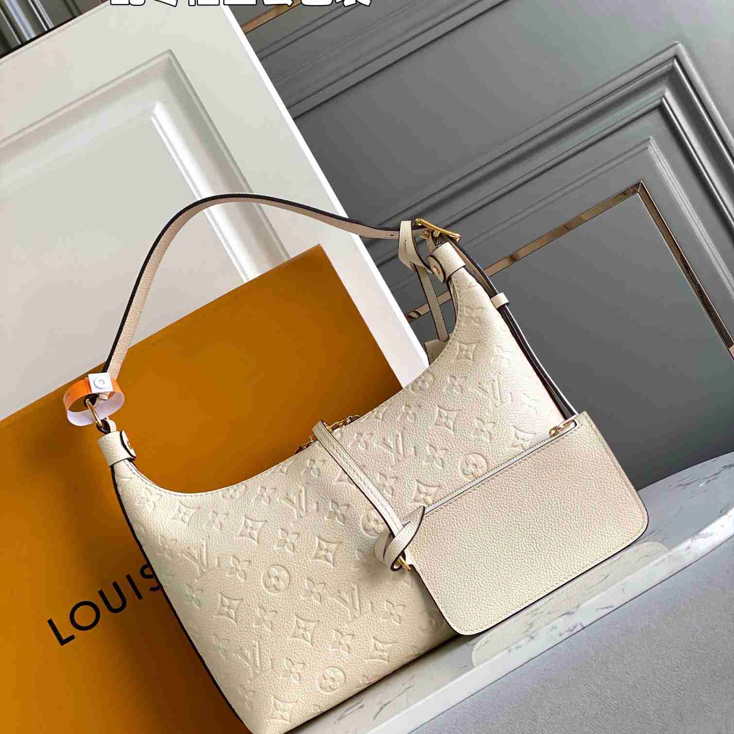 Louis Vuitton Sac Sport   M46609 - FashionPlug