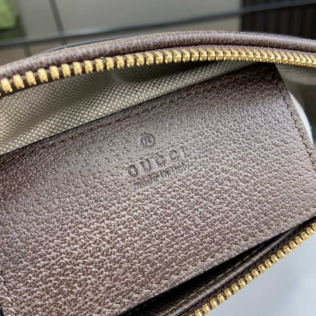 Gucci Ophidia GG Mini Shoulder Bag  - FashionPlug